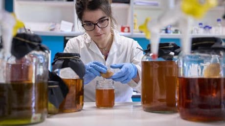 Navarra se engancha a la innovación gastronómica a base de ayudas, investigación y talento