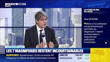La bourse cash : "Même si on préfèrerait diversifier, les  Magnificent 7 restent incontournables à l’approche des trimestriels. - 10/07