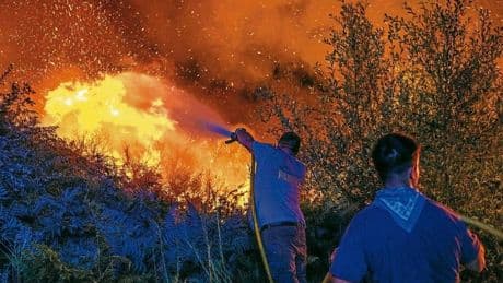 La ola de incendios apunta ya a uno de los años con más bosque calcinado del siglo