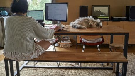 Umzug: Mehr Platz fürs Homeoffice – und Steuern sparen?
