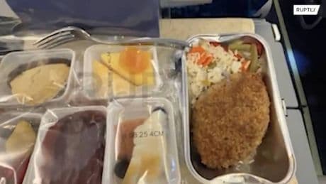 "Pollo alla Kiev" sul volo dei giornalisti russi verso l'Alaska: è polemica