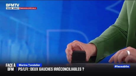 Accord entre PS et LFI: pour Marine Tondelier "il y a une force répulsive entre les deux, c'est ce qui est en train de se passer"