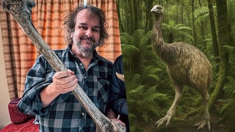 Kein Film, sondern Realität - „Herr der Ringe“-Macher plant echten Jurassic Park