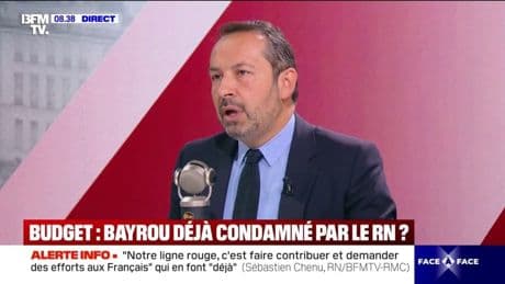 Budget 2026: "Il n'y a pas une mesure qui demande des efforts à l'immigration", observe Sébastien Chenu, député RN