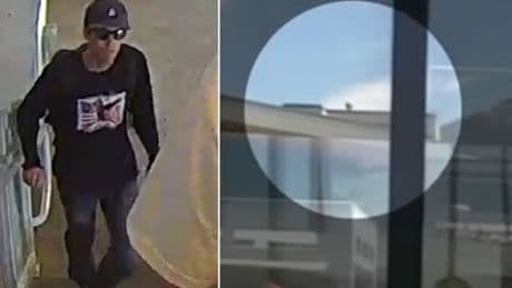 ‘He was on a mission’: Experts reveal the skill Charlie Kirk’s killer needed to pull off a single-shot assassination
