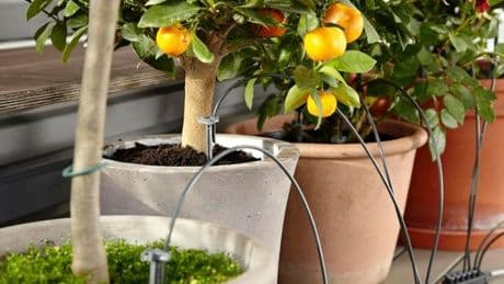 Keep your plants healthy while you’re away with this home watering kit that has a £45 saving