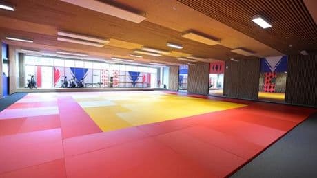 L’entraîneur choisi par Teddy Riner mis en cause dans une affaire d’agression sexuelle