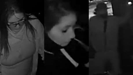 Manitoba RCMP search for 3 suspects after break-ins at RM of West St. Paul