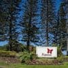 Kapalua golf course without irrigation for 7 days under worsening water restrictions