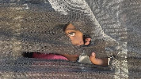 Entre la impotencia y la acción: Gaza y el deber de intervenir