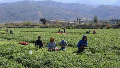 Mevsimlik işçinin tazminat hakkı