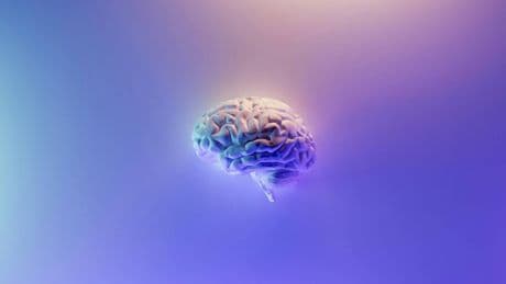 Olvidarte de cosas no es un bug, es una feature de tu cerebro: cómo no recordar cosas nos hace pensar mejor