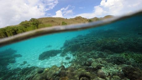 Tragedy as British woman dies after seizure during snorkelling trip in Indonesia