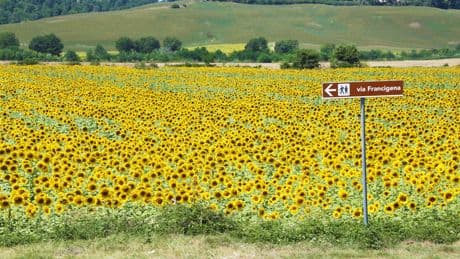La Via Francigena : connaissez-vous ce pèlerinage dont tous les chemins mènent à Rome ?