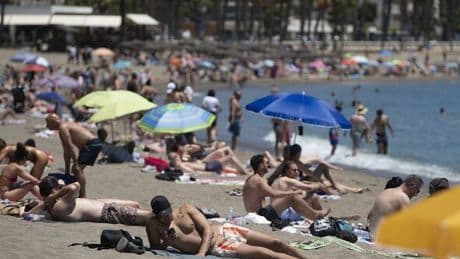 Brits in Majorca face huge £642 as police launches fresh crackdown on illegal activity