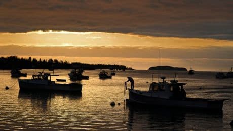 Trump budget would cut ocean data and leave boaters, anglers and forecasters scrambling for info