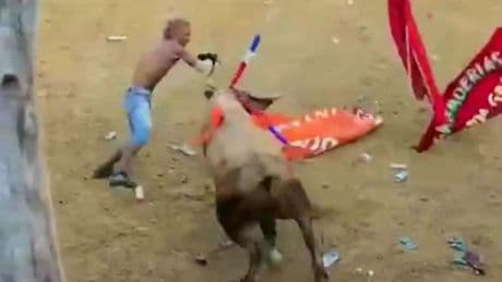 Man gored to death after taunting huge bull at packed Caribbean festival