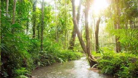 Missing Texas woman found living among lost ‘African’ tribe in Scotland