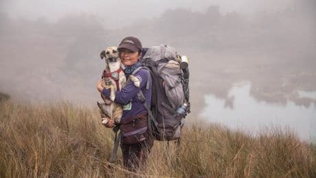 De poepende brilberen van Peru helpen het nevelwoud omhoog te klimmen – en deze bioloog helpt de beren