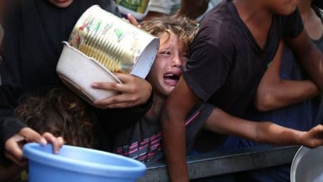 Palestinians searching for food killed by Israeli strikes after famine in Gaza declared