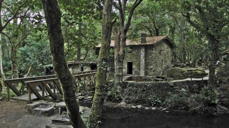 Un ‘refugio’ en la naturaleza que está a 40 minutos de A Coruña y cuenta con una zona de recreo perfecta para ir con niños