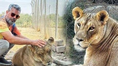Diyarbakırlı aslan bakıcısı 14’üyle birlikte yaşıyor! ‘Her şey arkadaşımın hediyesiyle başladı’