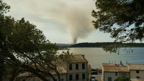 Waldbrände in Südfrankreich ausgebrochen - Hitze-Alarm fast im ganzen Land
