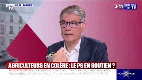 Néonicotinoïdes: Olivier Faure (PS) souhaite "interdire à l'échelle européenne ces produits dangereux"
