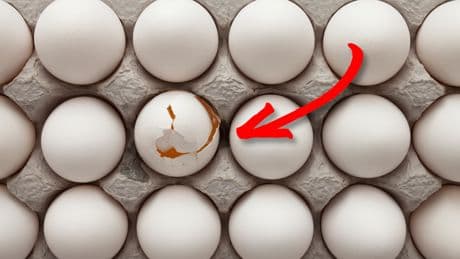 Eierkontrolle im Supermarkt: Ein häufiger Trick ist verboten