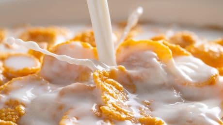 Zauberei am Frühstückstisch - Warum Cornflakes auf Magnete fliegen