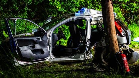 Fahrer (22) offenbar angetrunken - Frontal gegen Baum! 2 Männer sterben auf Rücksitz