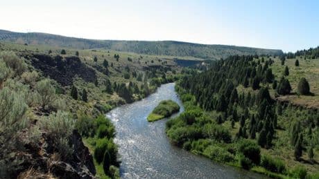 Search for missing ‘body’ in river turns up life-size sex doll