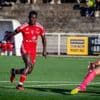 R1. Stade Brestois : un quadruplé en 1 h pour Saliou Diop ce week-end