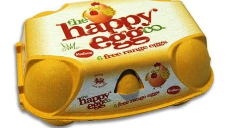 Happy Egg Co accused of misleading consumers over hen welfare amid call for name change