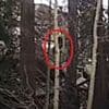 Shocking video captures 'Bigfoot' sprinting through the woods in broad daylight