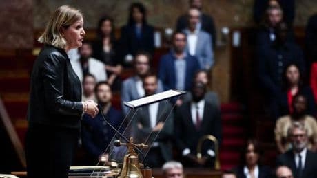Le bilan mitigé d’une année parlementaire chaotique, entre censure, débats houleux et multiplication des textes