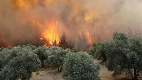 Manisa'daki orman yangını 20 saat sonra kontrol altına alındı: 2 kişi gözaltına alındı