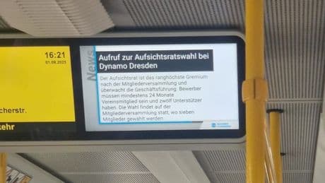 Abgefahrene Idee - Dynamo sucht Bosse in der Straßenbahn