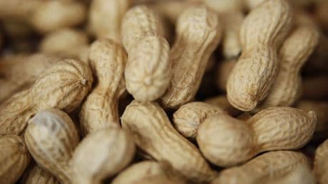 Allergien: Keine Angst mehr vor Erdnüssen