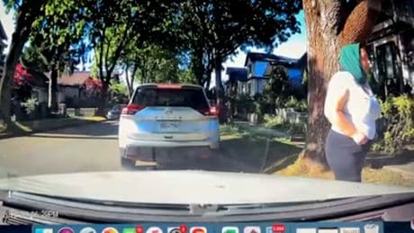 ‘How can she trust another stranger?’ Distraction theft shatters B.C. grandmother