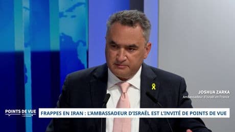 Salon du Bourget : «Tous les pays d’Europe utilisent nos armes et désormais elles posent problème ?», s’indigne l’ambassadeur d’Israël