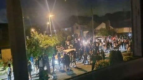 Gender reveal party descends into 'mayhem' as cops called to banish huge crowds