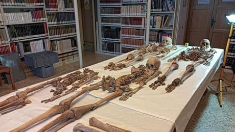 Los restos del monasterio de les Avellanes encajan con los condes de Urgell