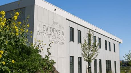 Dierenartsen zijn najagen van hoge omzet bij commerciële keten Evidensia zat, tientallen klinieken dicht door leegloop