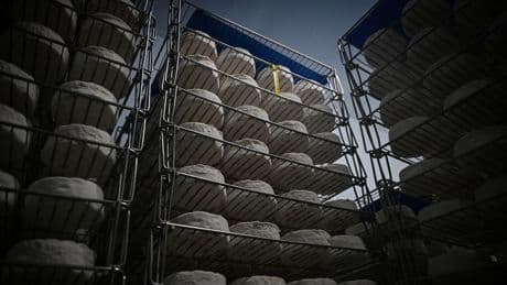 Twee doden in Frankrijk door eten van met listeriabacterie besmette kaas