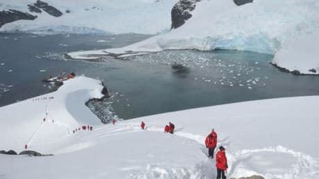 Le boom du tourisme en Antarctique accélère la fonte du « continent blanc »