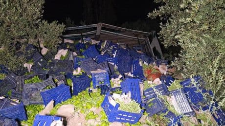 Kamyon devrildi, 10 ton biber etrafa saçıldı