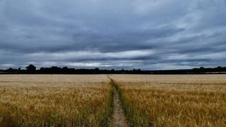 Thunderstorm warnings issued for most of England with fears of sudden flooding