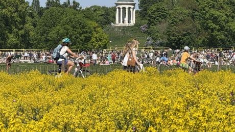 Wettervorhersage: Sonniger Muttertag in Sicht - nasses Wetter an den Alpen