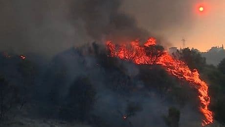Brände außer Kontrolle: Feuerhölle in Südeuropa – Menschen fliehen vor Flammen